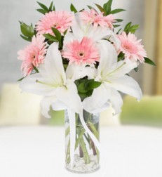 camda-pembe-gerbera-ve-beyaz-lilyum.jpg